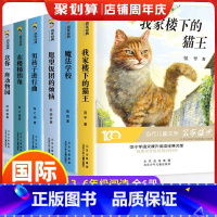 [百年经典]儿童文学(全6册) [正版]全6册百年经典儿童文学名家名作系列我家楼下的猫王魔法学校小学生课外阅读书籍三四五