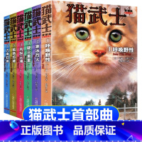 [全套6册]猫武士首部曲 [正版]6册全套首部猫武士第一部曲人生生存勇气的动物智慧故事书籍中小学生四五六七八年级课外书必