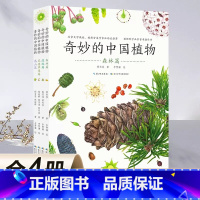 奇妙的中国植物(套装全4册) [正版]奇妙的中国植物套装全4册湿地森林高山荒漠草原6-12岁昆虫书籍百科全书奇妙大百科科