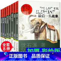 沈石溪画本彩绘版 全8册 [正版]沈石溪动物小说警犬冷焰全集3册沈石溪原创新作中国警犬探案故事老师6-12周岁三四五六年