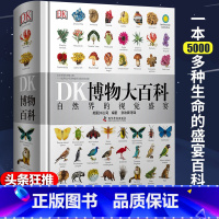 [DK系列]博物大百科 [正版]dk博物大百科中文 dk儿童百科全书汽车动物恐龙植物生物我们的身体自然科普书籍系列一二三