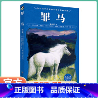 [罪马]沈石溪动物小说 [正版]全套8册动物大王沈石溪动物小说全集的书残狼灰满/梅里山鹰/红奶羊/象王泪系列单本小学生课