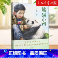 熊猫小四/动物与孩子 [正版]书店 熊猫小四/动物与孩子 叶广芩 北京少年儿童出版社 9787530164068