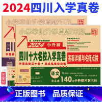 [正版]2024版四川十大名校入学真卷语文数学小升初历年真题试卷 考进名校题库招生分班真题 成都小升初四川十大名校招生