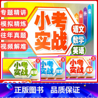 小考实战 小学升初中 [正版]新版2024小考实战六年级升级考试仿真试卷小考实战 2024年语文数学英语6六年级升级