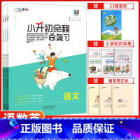 [正版]2022版一飞冲天小升初全程总复习语文数学英语全三本 人教版 夯实基础专项练习模拟预测卷练习题讲解小升初真题复