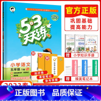 [正版]2023春 曲一线53天天练五年级语文下册 人教版RJ 小学语文同步练习 53天天练 五三天天练 53天天练小