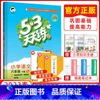 [正版]2023春曲一线 53天天练小学语文六年级下册RJ 小学语文同步练习 53天天练 五三天天练 小学6年级下册语