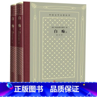 白痴(上下)(精)/外国文学名著丛书 [正版]书店 白痴(上下)(精)/外国文学名著丛书 人民文学出版社 978702