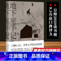 [正版]罗翔 地下室手记 陀思妥耶夫斯基 高口碑译文 世界文学经典 俄国文学 世界名著