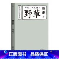 [正版] 野草 鲁迅 典藏版 鲁迅书文集 经典文学 精选74篇诗文 诗集 图书