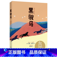 [正版]黑骏马 中文分级阅读K4 9-10岁适读 小学四年级课外阅读 阅读滋养心灵 儿童文学 长篇 课外读物 果