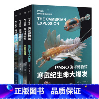 PNSO海洋博物馆 全4册 [正版]PNSO海洋博物馆 寒武纪生命大爆发 鲸的秘密 鲨鱼的世界 生命大发展 实现纸上观