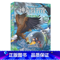 [正版]神奇图书馆 天空历险记4 空中足球赛 儿童文学 凯叔 科普故事 探索有趣的飞鸟世界 科学从来不枯燥 40份飞