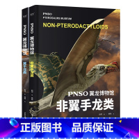 PNSO翼龙博物馆 2册 [正版]PNSO翼龙博物馆 再现翼龙称霸天空的史前时代 实现纸上观展体验 让孩子把翼龙博物馆