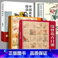 [正版]全套4册没骨花卉日课+没骨蔬果日课+中国花鸟画技法+陆抑非课徒稿没骨花鸟没骨画工笔画恽寿平国画基础入门教程临摹