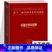 [正版]大16开225页实验艺术作品集 第十二届全国美术作品展览 中国美术家协会编 学院实验艺术创作 美术展览入选作品