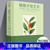 [正版]植物手绘艺术 艺术家的植物手绘 DK植物绘画指南 植物绘画技法临摹初学者入门 水彩线描插画彩铅基础教程美术赏析