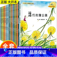 [全20册]获奖名家作品第一 辑+第二辑 [正版]小学一年级阅读课外书必读绘本全套20册儿童读物6一8岁以上幼儿园升1年