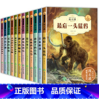 [全套12册]动物小说第一辑+第二辑 [正版]全套沈石溪动物小说大王全集小学生三四至六五年级课外书老师的作品阅读书籍儿童