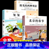 [全套3册]六年级下册课文作家作品系列 [正版]北京的春节+阳光的两种用法+匆匆书 六年级下册必读的课外书老师经典书目全