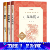 全套3册 [正版]爱的教育和小英雄雨来童年书全套3册高尔基小学六年级必读的课外书6上册快乐读书吧阅读三四/五年级教育人教