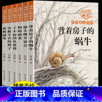 [全套6册]杨红樱科学童话系列画本 [正版]杨红樱画本校园童话系列全12册 小学生三四六五年级课外阅读书籍作品集老师必读