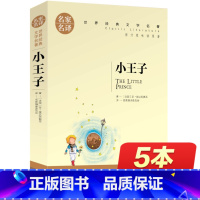 [正版]小王子书 名家名译 三四五六年级必读课外书老师世界文学名著书籍 经典原著外国 高中生中学生课外必读小说原版读物