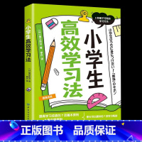 [正版]小学生高效学习法 国立拓治 著 蒋丹丹 译 家庭教育文教 出版社图书中国纺织出版社出版小学生学习方法高效家庭成