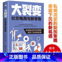 [正版]新书大裂变社交电商与新零售新消费与场景化营销微商成长手册私域流量的突围策略渠道下沉的新机遇