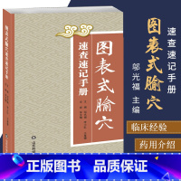 [正版]图表式腧穴速查速记手册 穴位定位针刺要点速学书籍 解剖部位经络与腧穴人体经络穴位图解书籍 邬光福 李少红 王兴