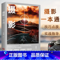 [正版]新书 摄影一本通 技巧点拨 场景教学 实战指导 作品分析 拍照用光与构图技巧教程 人物儿童自然风景旅游等零基础