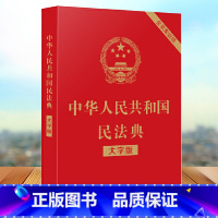 [正版]民法典2020年新版 大字版 中华人民共和国民法典 含草案说明 2021含总则篇物权编合同编人格权