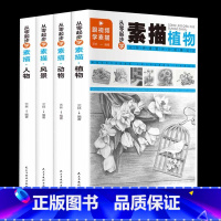 [正版]从零起步学素描4本套画画素描书从入门到精通零起步基础教程静物植物动物人物风景铅笔手绘速写绘画画册成人起步美术科