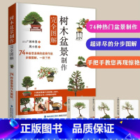 [正版]树木盆景制作完全图解 盆景制作与养护书籍树木盆景树桩盆景多肉植物草本植物盆景造型设计盆景创作手法树木修剪蟠扎提