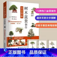 [正版]树木盆景制作完全图解 盆景制作与养护书籍树木盆景树桩盆景多肉植物草本植物盆景造型设计盆景创作手法树木修剪蟠扎提