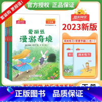 六年级下册(四本全) 六年级下 [正版]2023新版阳光同学快乐读书吧六年级下册爱丽丝漫游奇境鲁滨逊漂流记骑鹅旅行记四本