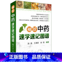 [正版]袖珍中药速学速记图谱 常用中药饮片400余种 总结特征鉴别口诀 常见中药饮片 中药饮片鉴别知识大全 中医学入门