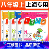 八年级上 语数英物(4本) 小学升初中 [正版]2023钟书金牌上海作业四年级上册数学一上二年级上三年级上四年级五年级上