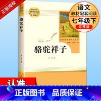 骆驼祥子 人民教育出版社 [正版]骆驼祥子原著老舍七年级下册人民教育出版社初中生必读课外书人教版初一七下课外阅读文学名著