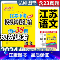 备考2024]语文 江苏省 [正版]备考2024恩波江苏13大市中考语文试卷与标准模拟优化38套2023年十三市汇编28