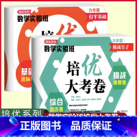 [套装2册]9年级 基础达标卷+综合培优卷 初中通用 [正版]培优系列数学实验班培优大考卷 综合培优卷+挑战奥赛卷 七八