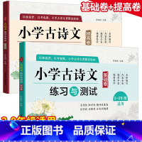 [正版]小学古诗文练习与测试提高卷基础卷3-6年级适用三四五六年级小学语文古诗文文言文课外复习辅导训练资料华东理工大学