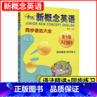 [正版]子金新概念英语青少版入门级b同步语法大全语法精讲+同步练习新概念青少版入门级AB课课语法专项训练新概念青少版语