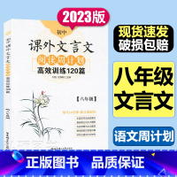 [正版]初中课外文言文阅读周计划高效训练120篇 八年级/8年级 华东理工大学出版社 初中文言文助读 全文翻译精选考试