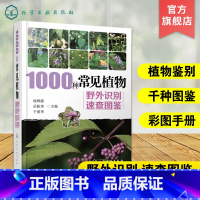 [正版]1000种常见植物野外识别速查图鉴 图解中草药大全 家庭书籍野外识别原植物鉴别图册中国常用手册 图识别与应用