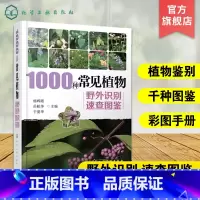 [正版]1000种常见植物野外识别速查图鉴 图解中草药大全 家庭书籍野外识别原植物鉴别图册中国常用手册 图识别与应用