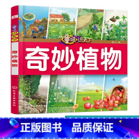 [正版]童眼识天下 奇妙植物 启蒙早教绘本 青少年幼儿童 科普百科大全 少幼儿儿童读物 学龄前儿童 宝宝看图识物启蒙