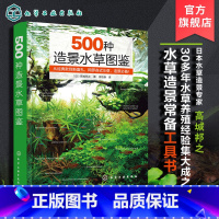 [正版]500种造景水草图鉴 水草造景设计书籍 专业水草图鉴书籍 水草缸造景 日本水草专家水草养殖经验书籍 各类水草在