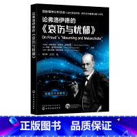 [正版] 论弗洛伊德的 哀伤与忧郁 国际精神分析协会 当代弗洛伊德 转折点与重要议题系列 当代弗洛伊德 精神分析专业应